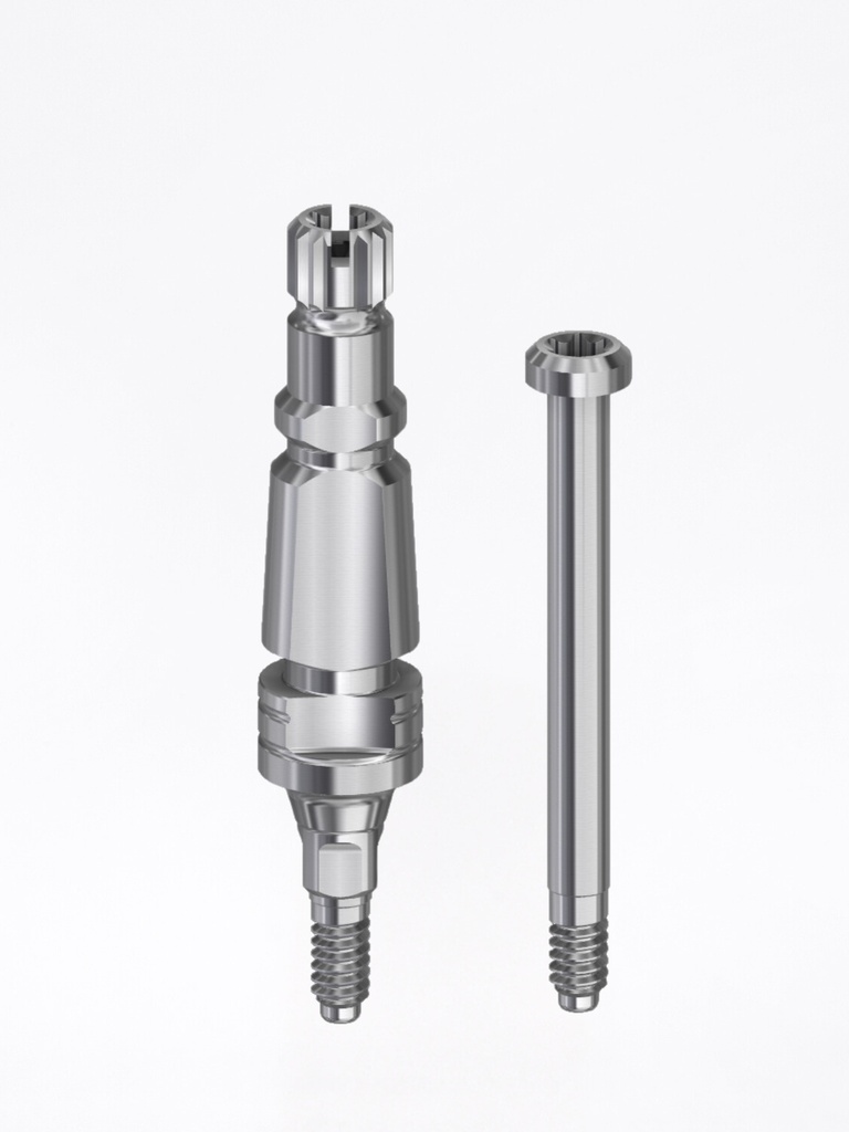 Transfer Conical BL