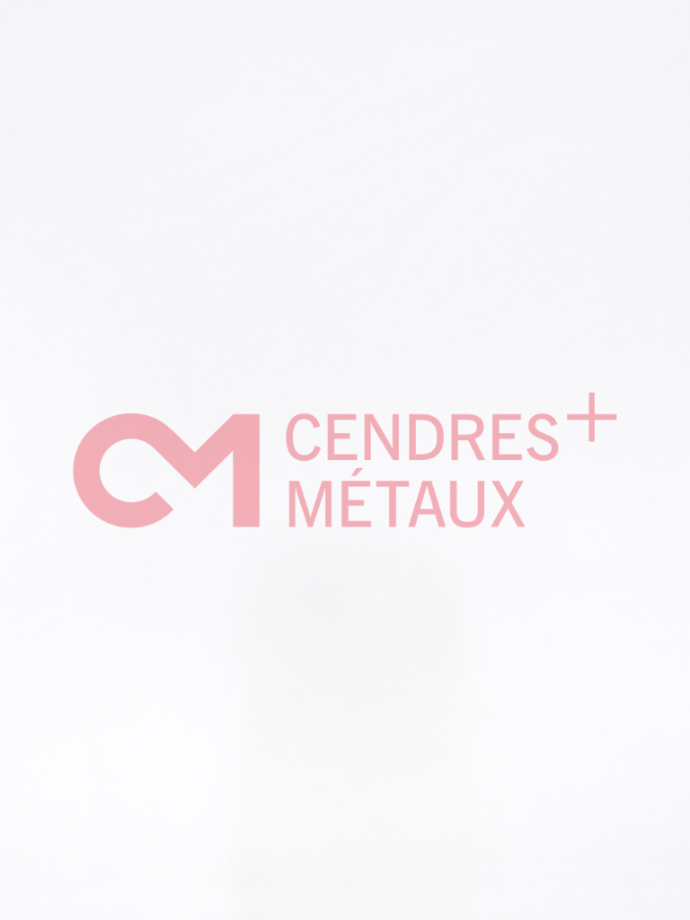 Mooser Endobox