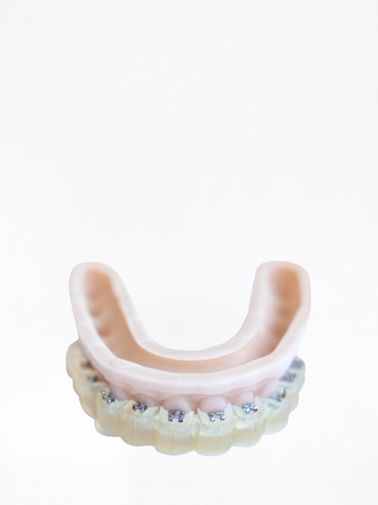 V-Print IBT
